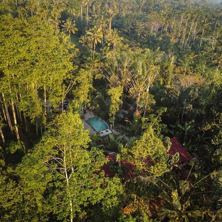 Daydream Lodge Tampaksiring Bagian luar foto