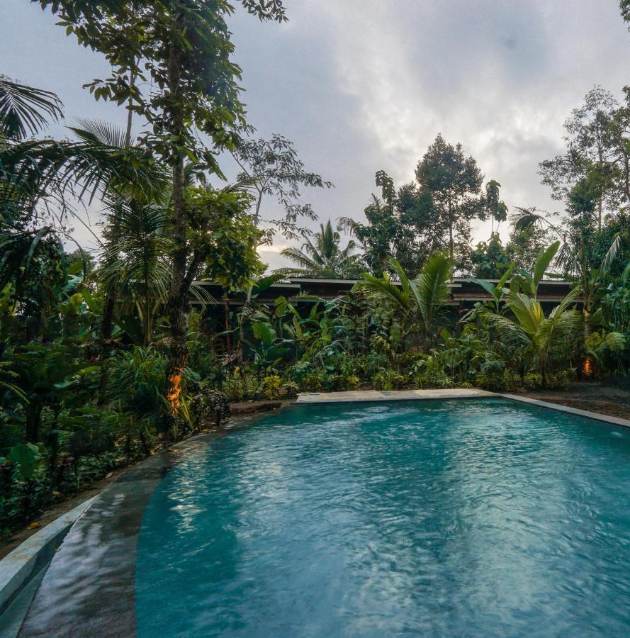 Daydream Lodge Tampaksiring Bagian luar foto