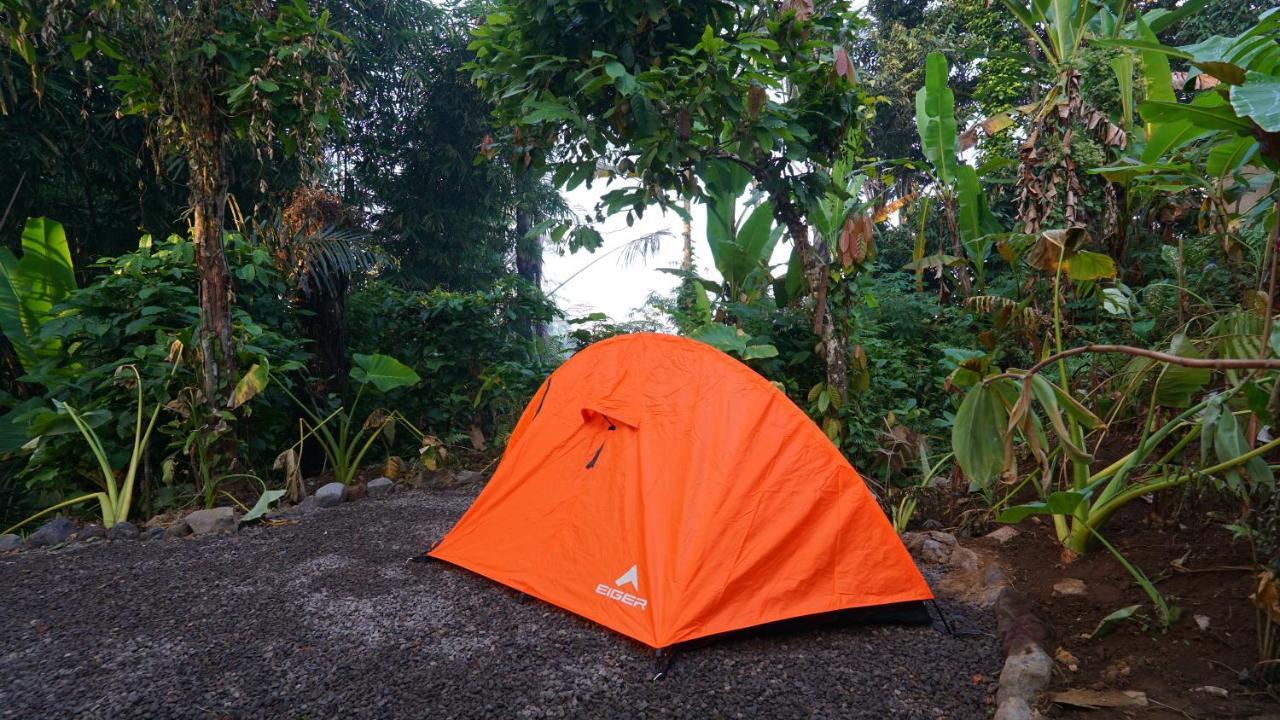 Daydream Lodge Tampaksiring Bagian luar foto