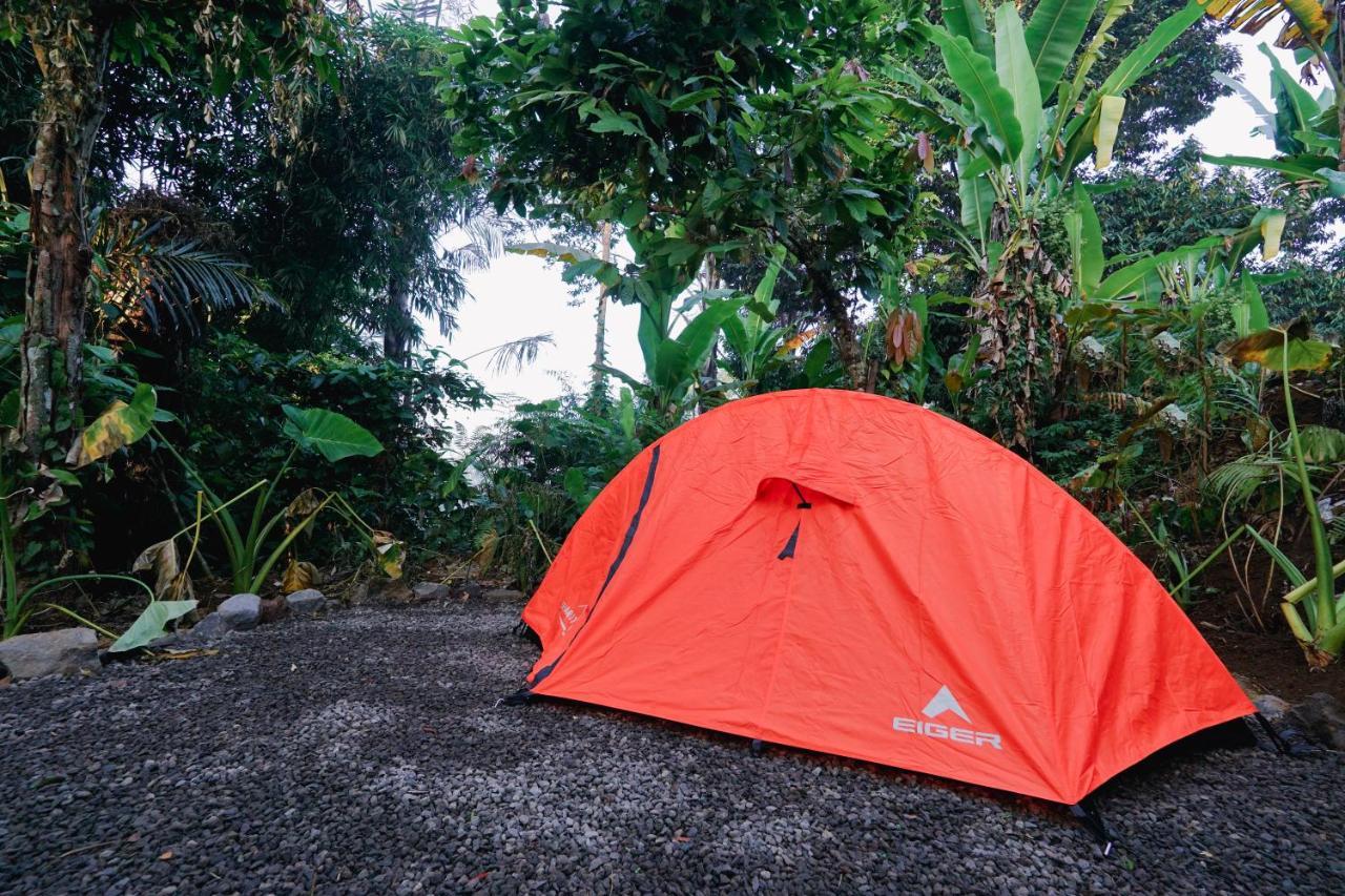 Daydream Lodge Tampaksiring Bagian luar foto