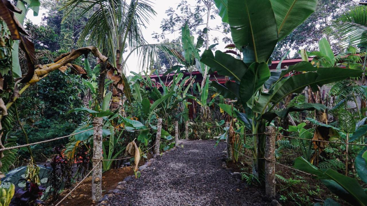 Daydream Lodge Tampaksiring Bagian luar foto