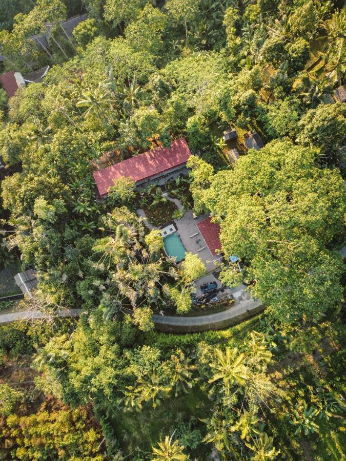 Daydream Lodge Tampaksiring Bagian luar foto