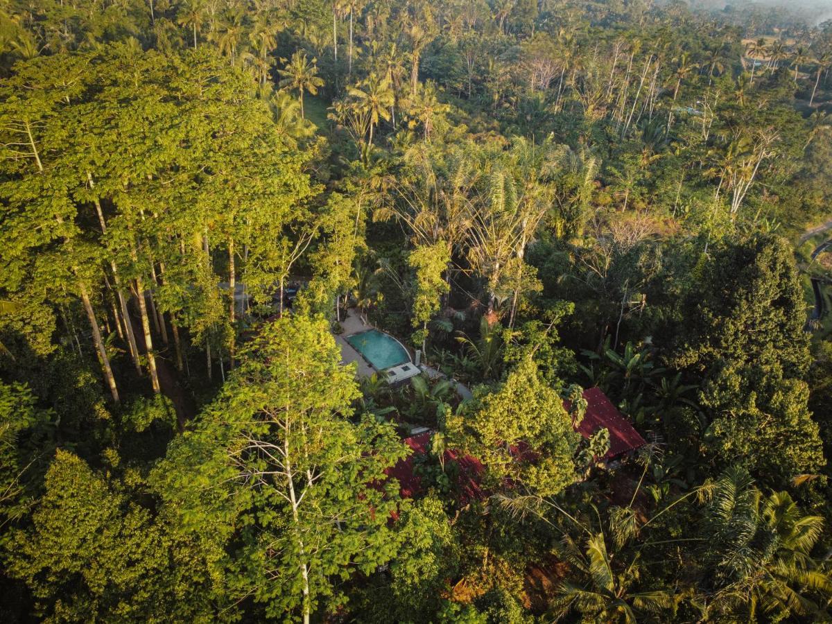 Daydream Lodge Tampaksiring Bagian luar foto