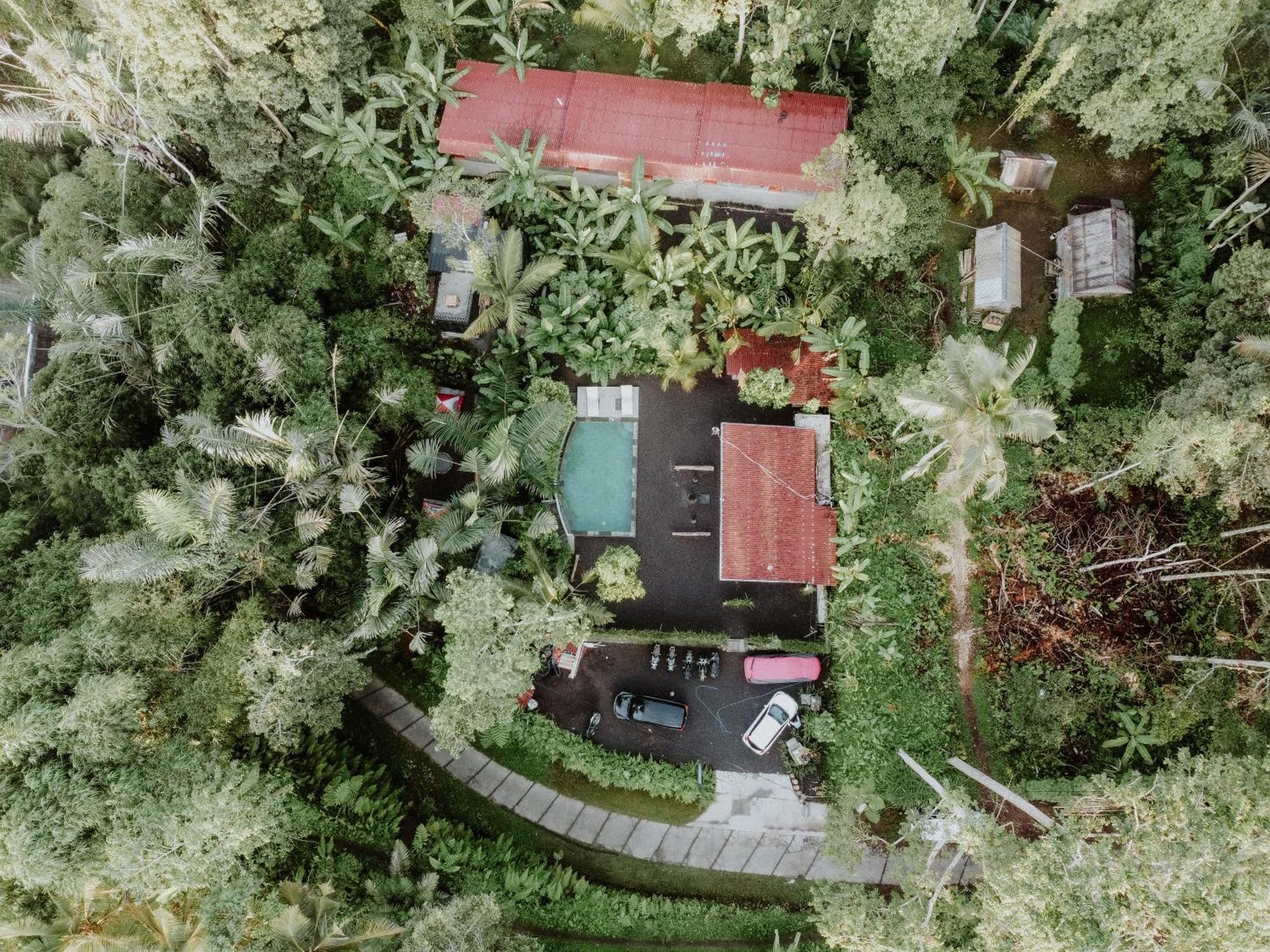 Daydream Lodge Tampaksiring Bagian luar foto